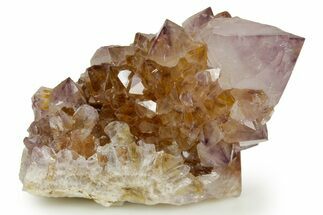 Deep-Purple Cactus Amethyst Crystal Cluster - South Africa #364589