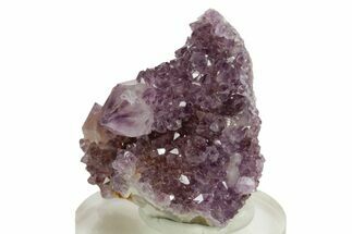 Sparkling Cactus Amethyst Crystal Cluster - South Africa #364595