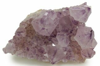 Deep-Purple Cactus Amethyst Crystal Cluster - South Africa #364610