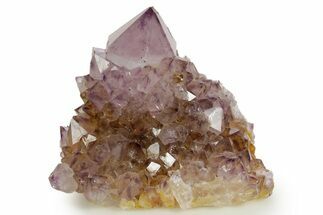 Deep-Purple Cactus Amethyst Crystal Cluster - South Africa #364613