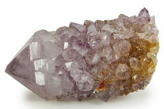 Deep-Purple Cactus Amethyst Crystal Cluster - South Africa #364615