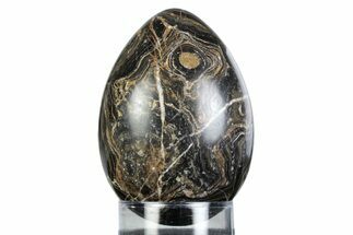 Polished Stromatolite (Greysonia) Egg - Bolivia #363465