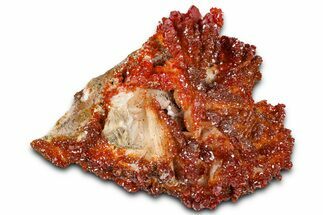 Glittering Ruby Red Vanadinite Crystals on Barite - Morocco #365773