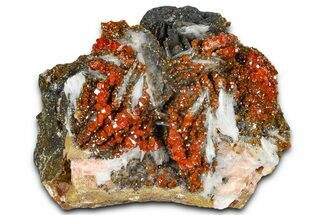 Glittering Ruby Red Vanadinite Crystals on Barite - Morocco #365783