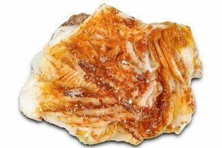 Glittering Ruby Red Vanadinite Crystals on Barite - Morocco #365789