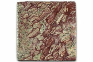 Polished Neoproterozoic Stromatolite (Conophyton) Slab #365841