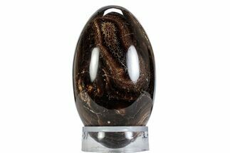 Swirling Polished Chocolate Calcite Egg - Pakistan #365817