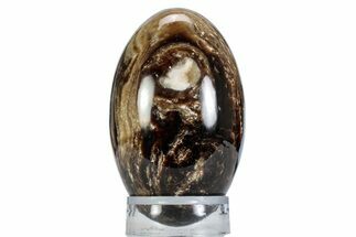 Swirling Polished Chocolate Calcite Egg - Pakistan #365819
