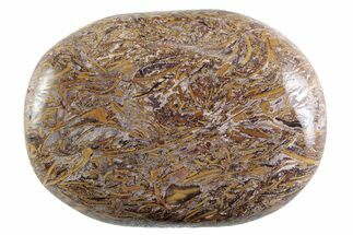 Polished Miriam Stone Palm Stone - India #365876