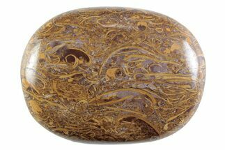 Polished Miriam Stone Palm Stone - India #365877