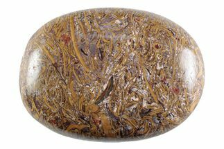 Polished Miriam Stone Palm Stone - India #365881
