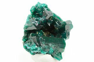 Emerald-Green Dioptase Crystal Cluster - Congo #366006