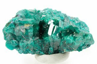 Emerald-Green Dioptase Crystal Cluster - Congo #366011