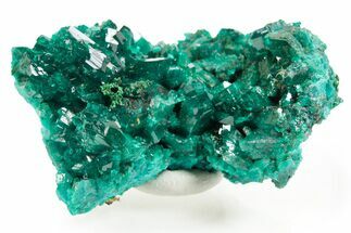 Emerald-Green Dioptase Crystal Cluster - Congo #366015