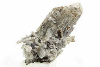 Lustrous Cerussite Crystal Cluster - Congo #366053