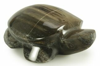 Polished Petrified Wood (Sycamore) Turtle - Nevada #366288