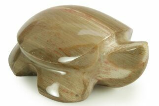 Polished Petrified Wood Turtle - Australia #366295
