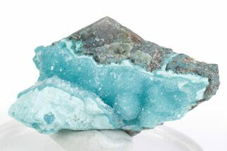 Sparkling Druzy Quartz on Chrysocolla - DR Congo #366164