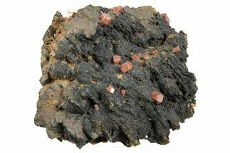 Small Red Vanadinite Crystals on Goethite - Morocco #366227