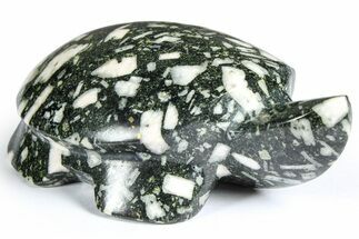 Polished Chinese Writing Rock Turtle - Alaska #366524