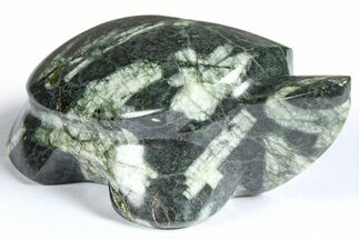 Polished Chinese Writing Rock Turtle - California #366813