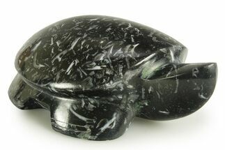 Carved Black Coquina Turtle - California #366995