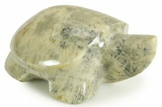 Carved Fossil Yellow Star Coral Turtle - Philippines #367028