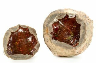 Opals (Precious) For Sale