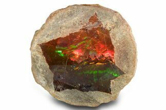 Ethiopian Chocolate Opal Nodule - Yita Ridge #367228