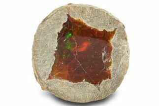 Ethiopian Chocolate Opal Nodule - Yita Ridge #367230