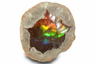 Ethiopian Chocolate Opal Nodule - Yita Ridge #367231