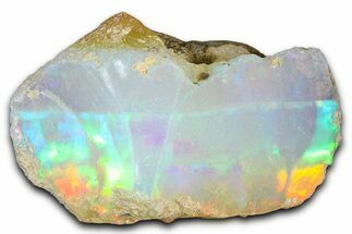 Brilliant Precious Ethiopian Fire Opal ( grams) #367249
