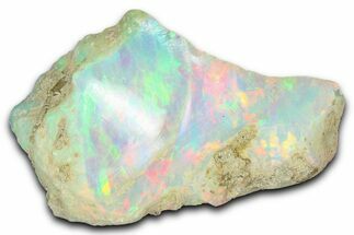Brilliant Precious Ethiopian Fire Opal ( grams) #367283