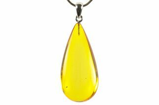 Polished Baltic Amber Pendant (Necklace) - Contains Insect! #367365