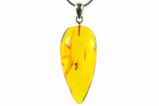 Polished Baltic Amber Pendant (Necklace) - Contains Fly! #367370
