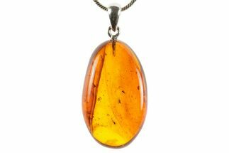 Polished Baltic Amber Pendant (Necklace) - Contains Flies! #367372