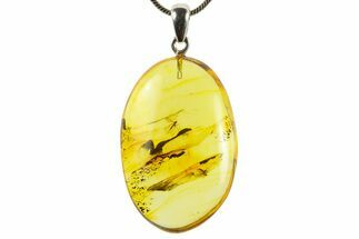 Polished Baltic Amber Pendant (Necklace) - Contains Flies! #367375
