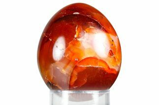 Vibrant Polished Carnelian Agate Egg - Madagascar #355511