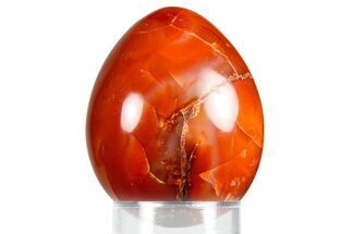 Vibrant Polished Carnelian Agate Egg - Madagascar #355519