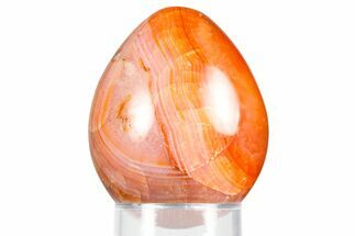 Vibrant Polished Carnelian Agate Egg - Madagascar #355522
