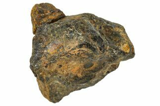 Pallasite Meteorite ( g) - NWA #367763