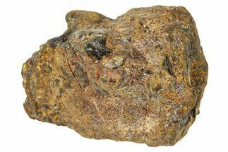 Pallasite Meteorite ( g) - NWA #367791