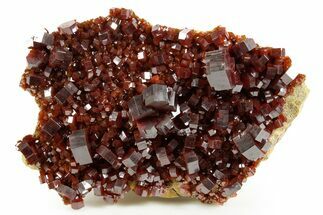 Top Quality, Deep Red Vanadinite Crystal Cluster - Large Crystals #368153