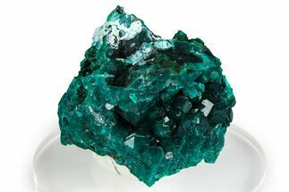 Emerald-Green Dioptase Crystal Cluster - Congo #368197