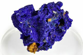 Cerussite Crystals on Sparkling Azurite - Congo #368207