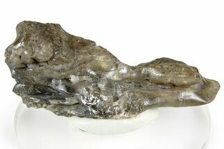 Lustrous Cerussite Crystal - Congo #368214