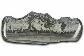 Triassic Aged Stromatolite Fossil - England #365708