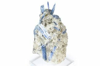 Vibrant Blue Kyanite Crystals In Quartz - Brazil #368774