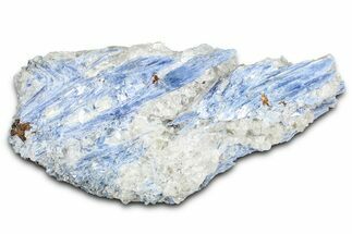 Vibrant Blue Kyanite Crystals and Staurolite In Quartz - Brazil #368782