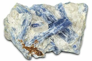 Vibrant Blue Kyanite Crystals and Staurolite In Quartz - Brazil #368795